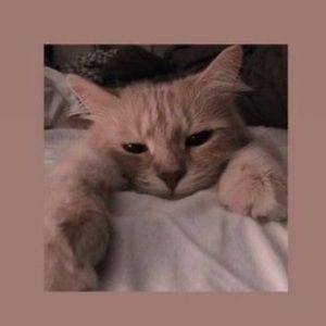 Meet your Posher, Lorena